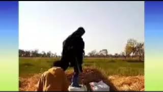 NDAMA JIGOSHILAGA  FT NYENGELA LUTOBISHA YUKO MASHAMBA YAKE 30 May 2024