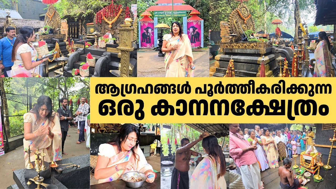 നമ്മുടെ ആഗ്രഹങ്ങൾ പൂർത്തീകരിക്കുന്ന ഒരു കാനനക്ഷേത്രം | Forest Temple Kalleli Oorali Appooppan Kavu