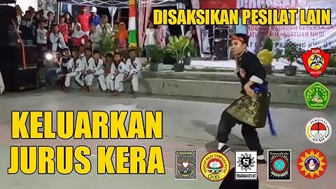 IKSPI KELUARKAN JURUS MONYET | DIHADAPAN PESILAT LAIN