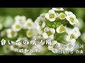 【白い花の咲く頃】石原まさし (cover)  1950年(昭和25年)