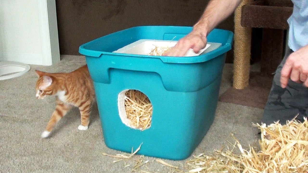 How to Make a Feral Cat Shelter - YouTube