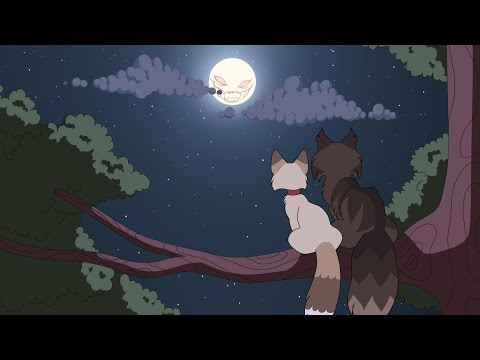 (2016) Me and Mr. Wolf MAP part