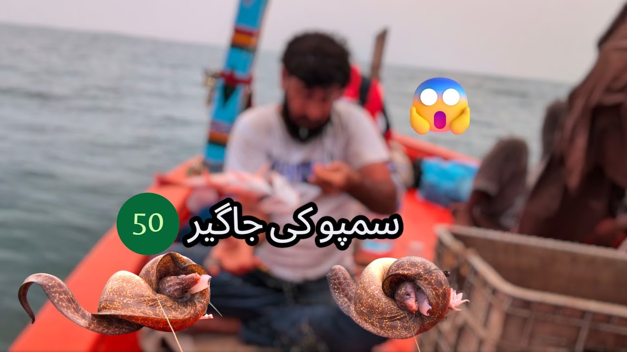 #bottom #fishing #videos 🐛🐟👍🏼😱🤣🔔