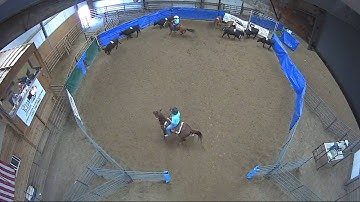 Big Sky Ranch Sorting Saddle Series Finals - #7 HC - Round #2 - Ride #22