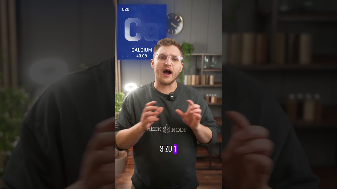 CAL/MAG - das RICHTIGE Verhältnis🥦 | 