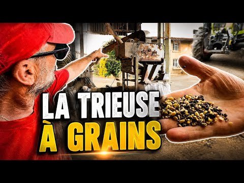 THE GRAIN CLEANER