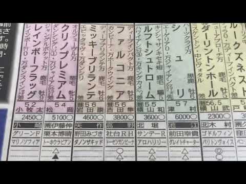 【競馬】2022京成杯オータムH予想