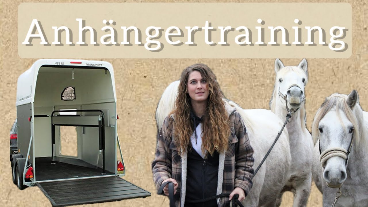Anhängertraining mit meinen Jungpferden – ruhig, fair & Schritt für Schritt 🐴🚚