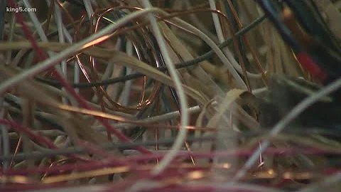 Copper theft leaves several NW side businesses without power