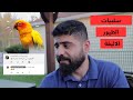 سلبيات تربية الطيور الاليفة منير ليث 