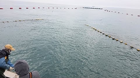 날씨 좋고 괴기잡으러~(실시간 조업방송) (a Korean fishing broadcast)