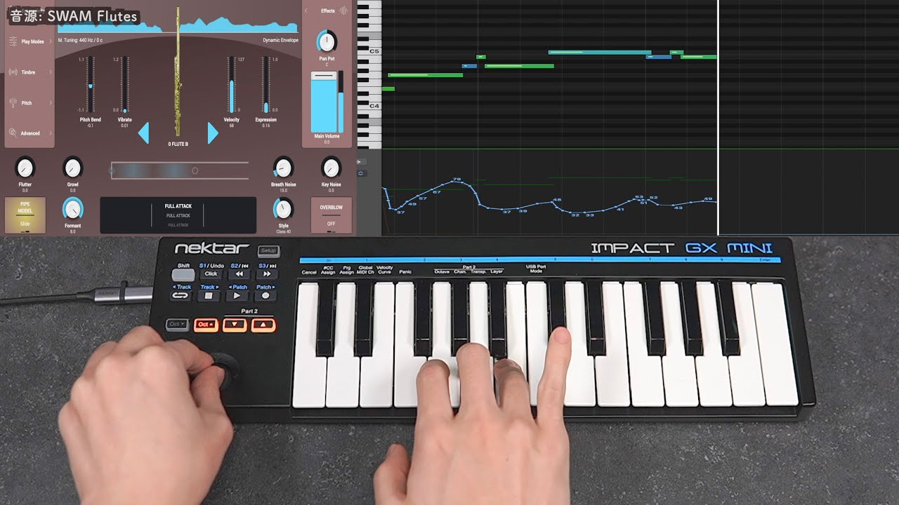 Traveller　ダイヤトニック　ダイアトニック　フルート コロイ ペンタトニック フルート 木製 リコーダー シュタイナー 教育