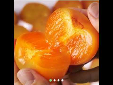 위드M(사전체험판) 라이브 방송