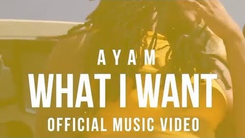 AYAM - What I Want ft. WhoCamille (Official Video)