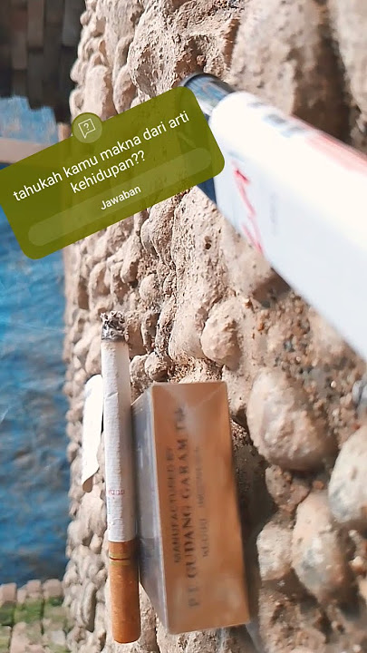 story wa 2024 #music #love #beach #edm #travel #dangdut #cover #dj #musik #liriklagu