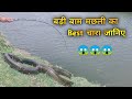 बाम मछली का चारा | Baam Fish Hunting | Big Bam Fish Bite | बाम मछली पकड़ने का तरीका bam fishing