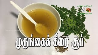 முருங்கைக் கீரை சூப் | Murungai keerai soup | Samayalkurippu inTamil