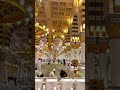 النبي المرسول للمدينة المادح مدثر عوض الجيد