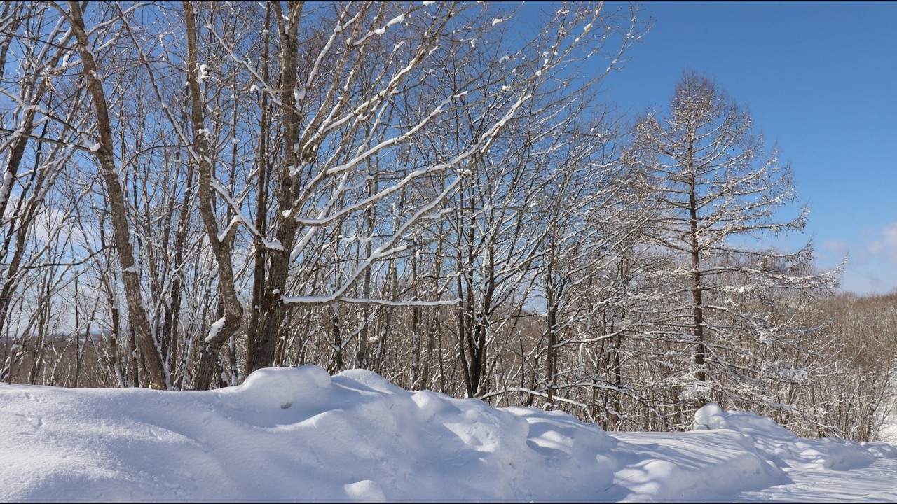 Handel:Suites No.5, Courante and Harmonious Blacksmith(in 1935), HWV 430.Wanda Landowska.
