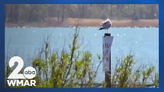 The Power of Water: The Chesapeake Bay