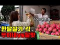 2 드디어 한달살기 하고싶은 나라를 찾았어요 무이네 달랏 로컬 탐험기 2 드디어 한달살기 하고싶은 나라를 찾았어요 무이네 달랏 로컬 탐험기