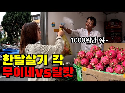🇻🇳 #2 드디어 한달살기 하고싶은 나라를 찾았어요.. 무이네&달랏 로컬 탐험기