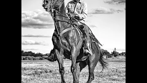 Owner Bernard Stephens - Horse Introduction