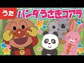 【うた】パンダうさぎコアラ🐼🐰🐨アンパンマンと遊ぼう⭐️🌈【手遊び】