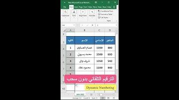 الترقيم التلقائي في الاكسل بشرط - Dynamic Numbering