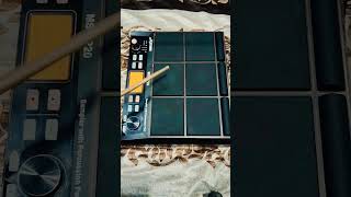 Congo Page M Studio Sampler