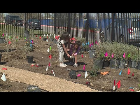 Students and their families planted hundreds of trees at Promesa Academy Charter School