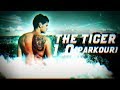 Álex Segura - The Tiger 1.0