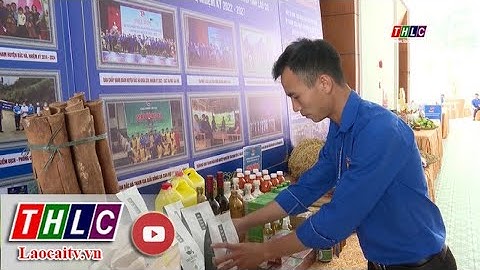 Thanh niên ứng dụng công nghệ số vào sản xuất kinh doanh | THLC