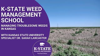 Dr. Sarah Lancaster Managing Troublesome Weeds in Kansas