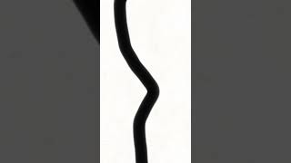 String Animation