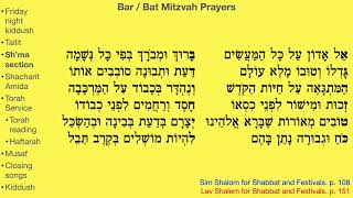 Bar-Bat Mitzvah prayers / Congregation Sha’arei Kodesh. …In 4K! 📺