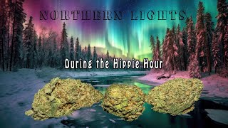 Northern Lights - Naked Rosin Squish During the Hippie Hour