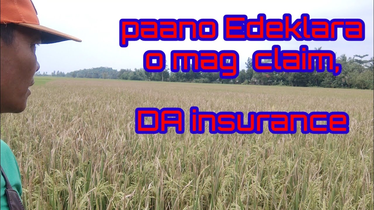 tips SA ayuda insurance Ng D.A.