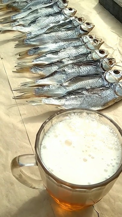 Пиво и вобла - YouTube