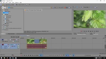 Sony Vegas Pro 13: How to Unlink Audio from Video