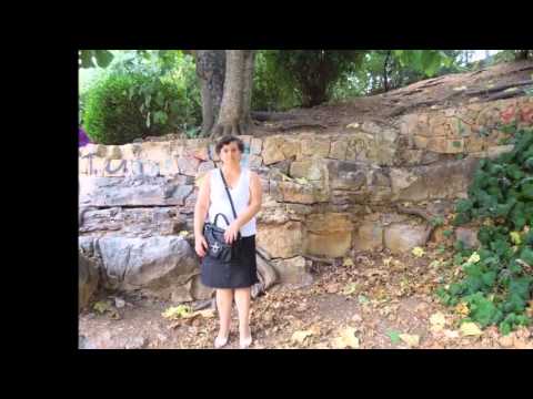 მაიკო მე ჩემი მეგობრები