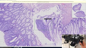 Manual Whole Slide Imaging solution-updated