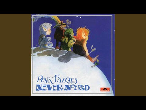 The Pink Fairies — Teenage Rebel
