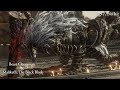野獸祭司 &amp;「黑劍」瑪利喀斯 八周目近戰無傷/Maliketh, the Black Blade［Ng+7, No hit, Melee only］
