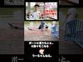B型支援のカフェにお仕事を探しに行った日 #shorts #うーちゃん #知的障害
