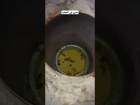 المندي في الحفرة الشيف البارع 