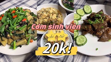 Tổng hợp thực đơn chỉ từ 20k dành cho sinh viên P2 | Cáo Food Boy