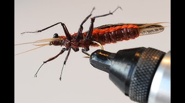 Realistic fly tying, stonefly pattern.