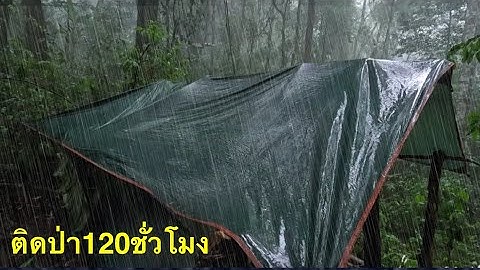 อยู่ป่ากับขาวดำ 5วัน4คืน สร้างที่พัก ฤดูฝน ฝนถล่มหนัก
