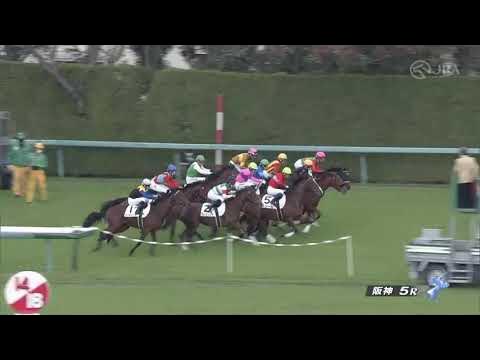 21 11 13 ホウオウバニラ 新馬戦 Youtube